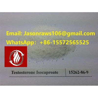 Isocaproat de testosterona en pols per a culturisme CAS:15262-86-9