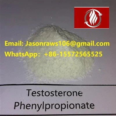 Pols de fenilpropionat de testosterona per a culturisme CAS:1255-49-8