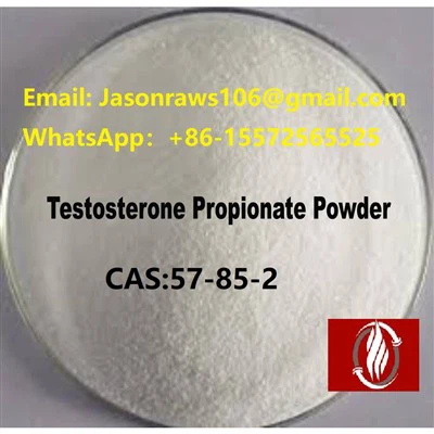Propionat de testosterona en pols per a culturisme CAS:57-85-2