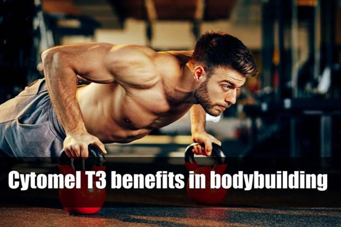Cytomel-T3-Steroid-for-Bodybuilding-11 Cytomel-T3-Steroid-for-Bodybuilding-11