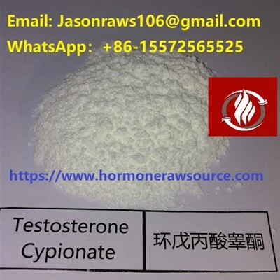 Pols de cipionat de testosterona premium per a culturisme CAS: 58-20-8