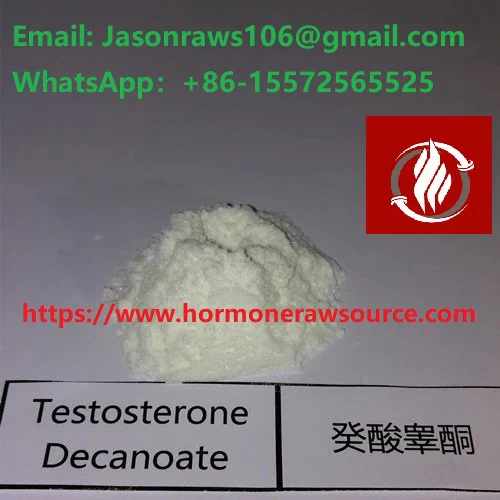 Testosterona decanoat esteroides en pols per a culturisme CAS: 5721-91-5